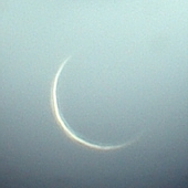 Venus