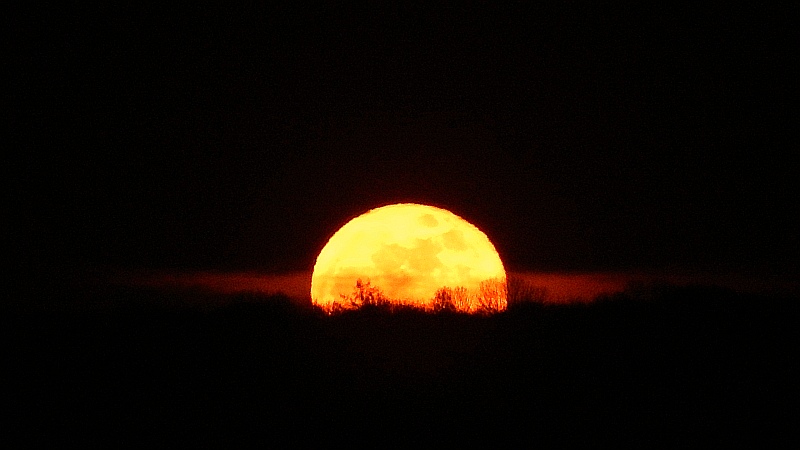 Ostervollmond